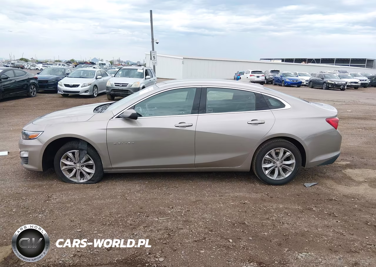 2025 Chevrolet Malibu Fwd 1Lt VIN:1G1ZD5ST1SF115411 - 13