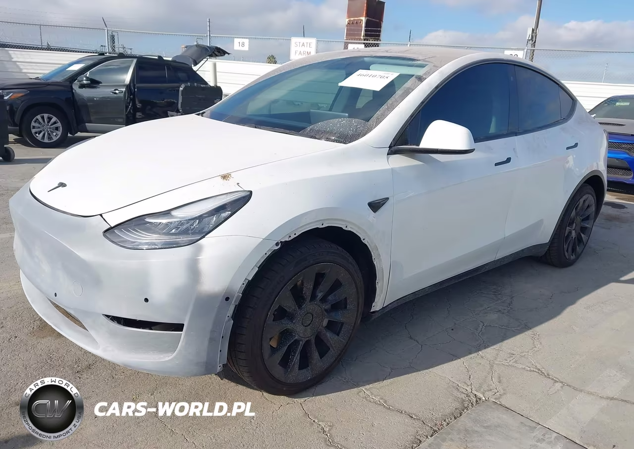2020 Tesla Model Y Long Range Dual Motor All-Wheel Drive VIN:5YJYGDEEXLF008378 - 2