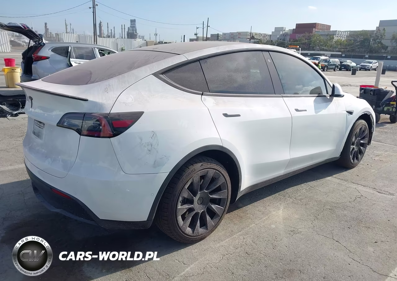 2020 Tesla Model Y Long Range Dual Motor All-Wheel Drive VIN:5YJYGDEEXLF008378 - 4