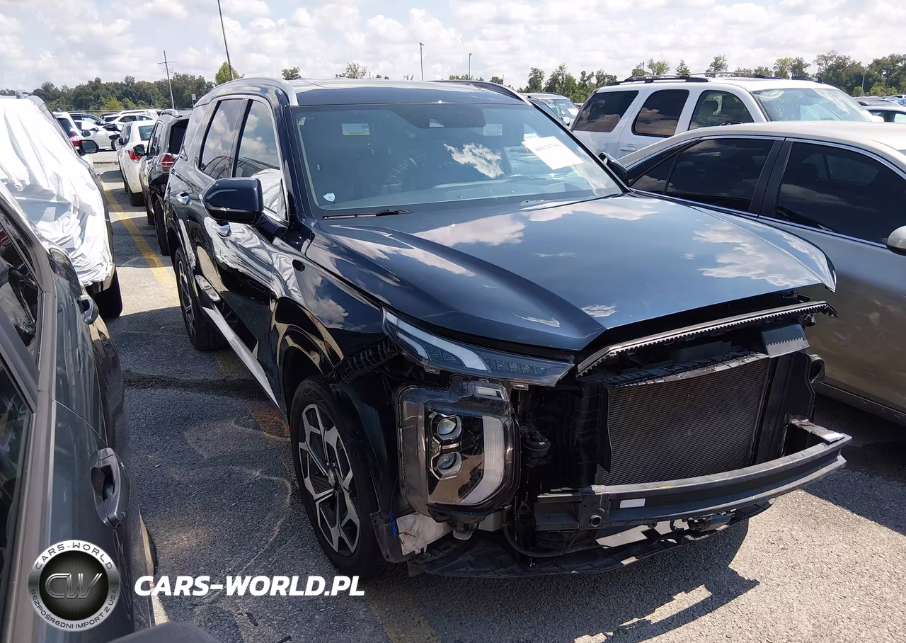 2022 Hyundai Palisade Calligraphy VIN:KM8R74HE7NU448208 - 1
