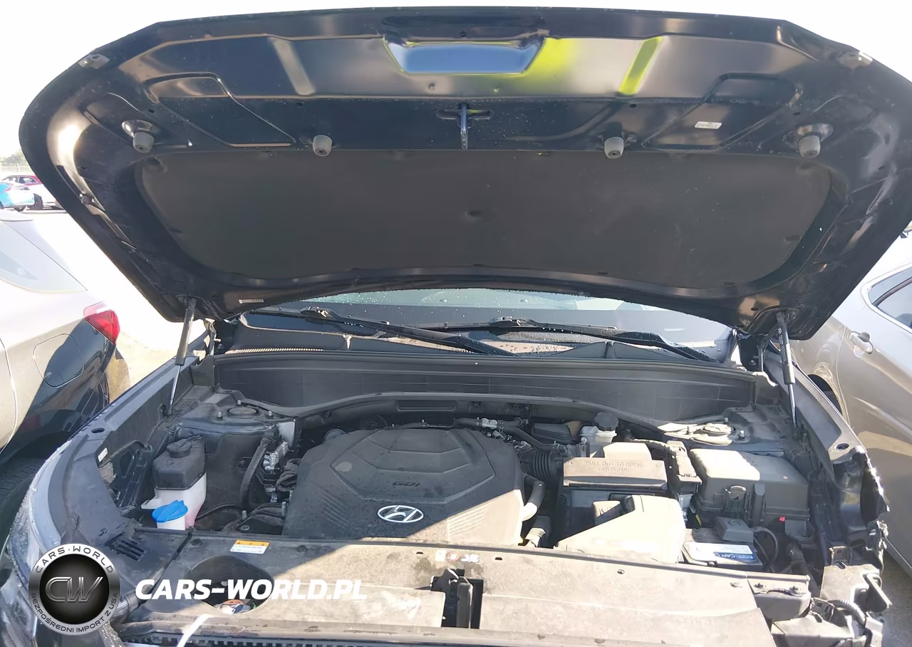 2022 Hyundai Palisade Calligraphy VIN:KM8R74HE7NU448208 - 10
