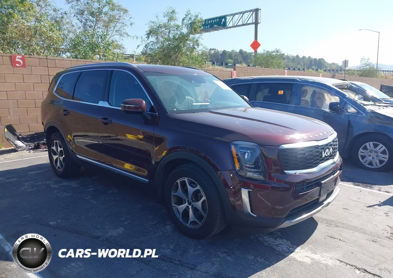 2022 Kia Telluride Ex VIN:5XYP34HC2NG263880 - 1