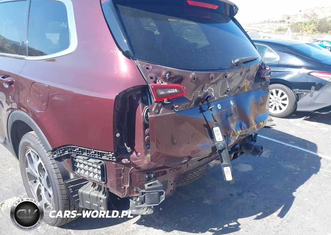 2022 Kia Telluride Ex VIN:5XYP34HC2NG263880 - 18