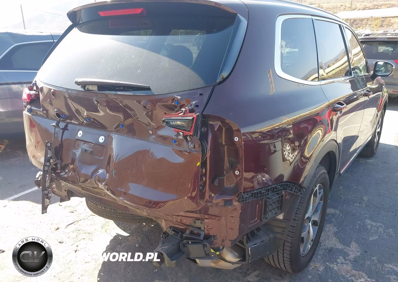 2022 Kia Telluride Ex VIN:5XYP34HC2NG263880 - 19
