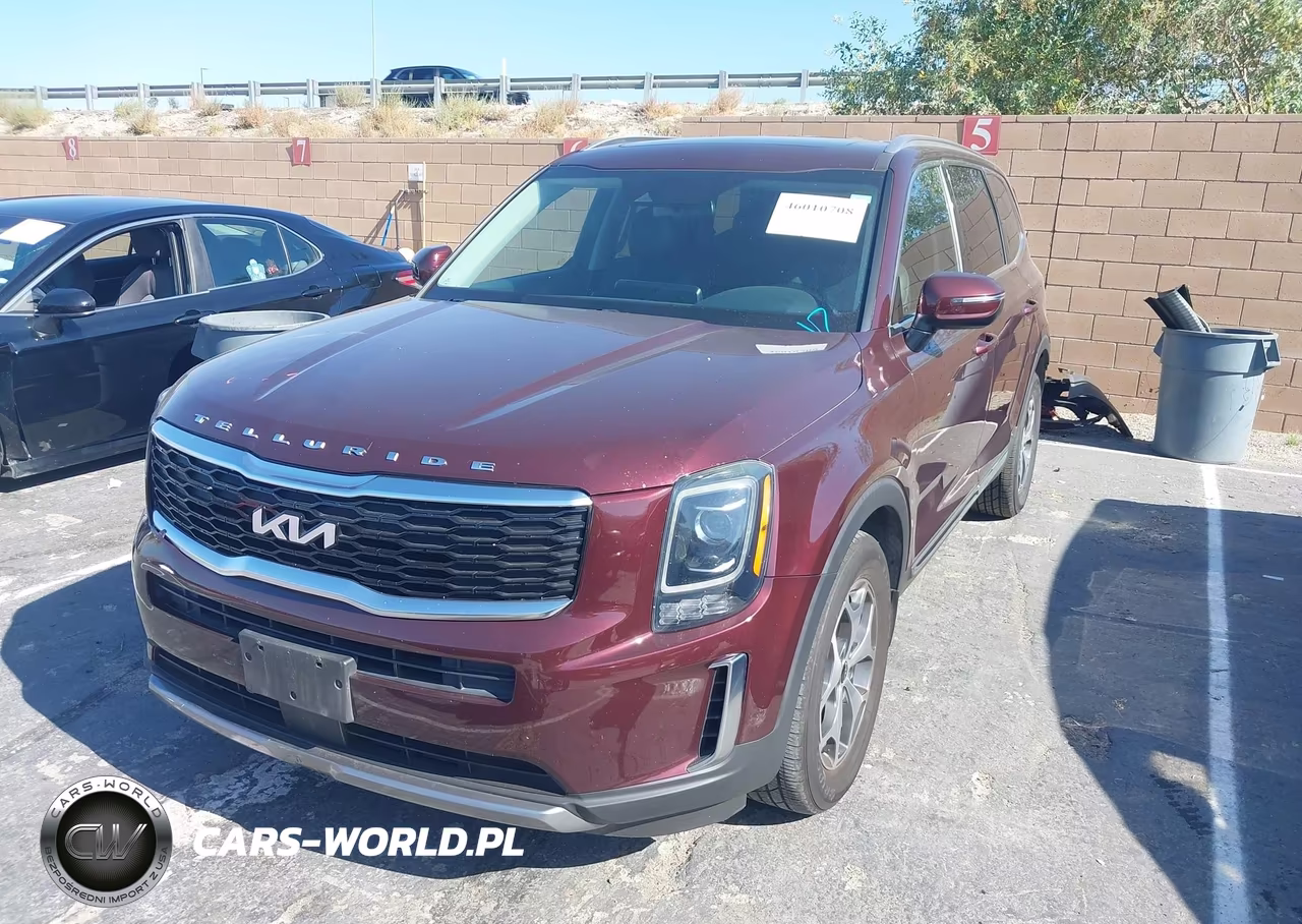 2022 Kia Telluride Ex VIN:5XYP34HC2NG263880 - 2