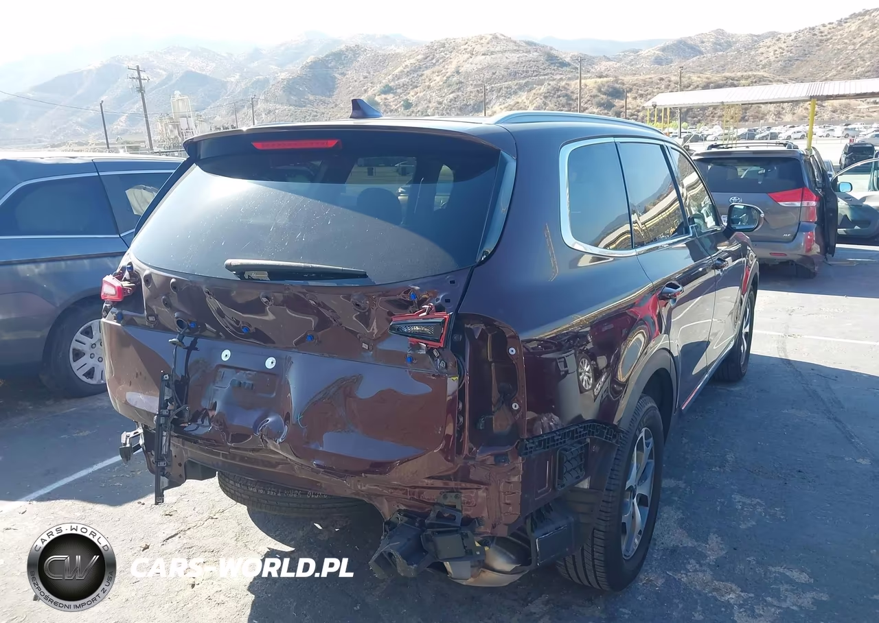 2022 Kia Telluride Ex VIN:5XYP34HC2NG263880 - 4
