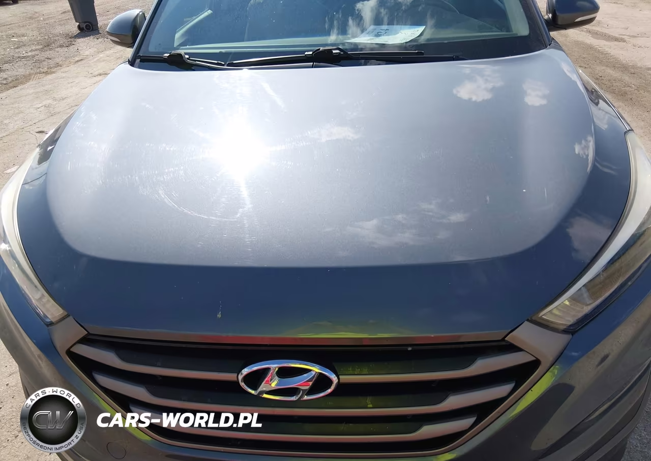 2016 Hyundai Tucson Sport VIN:KM8J3CA23GU164743 - 6