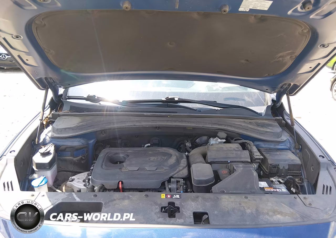 2020 Hyundai Santa Fe Limited VIN:5NMS53AD1LH299290 - 10