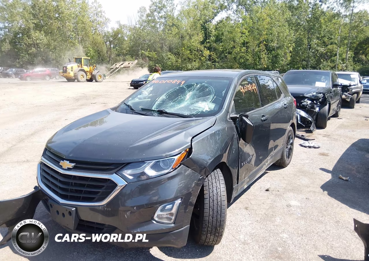 2019 Chevrolet Equinox Ls VIN:3GNAXHEV5KS668611 - 2