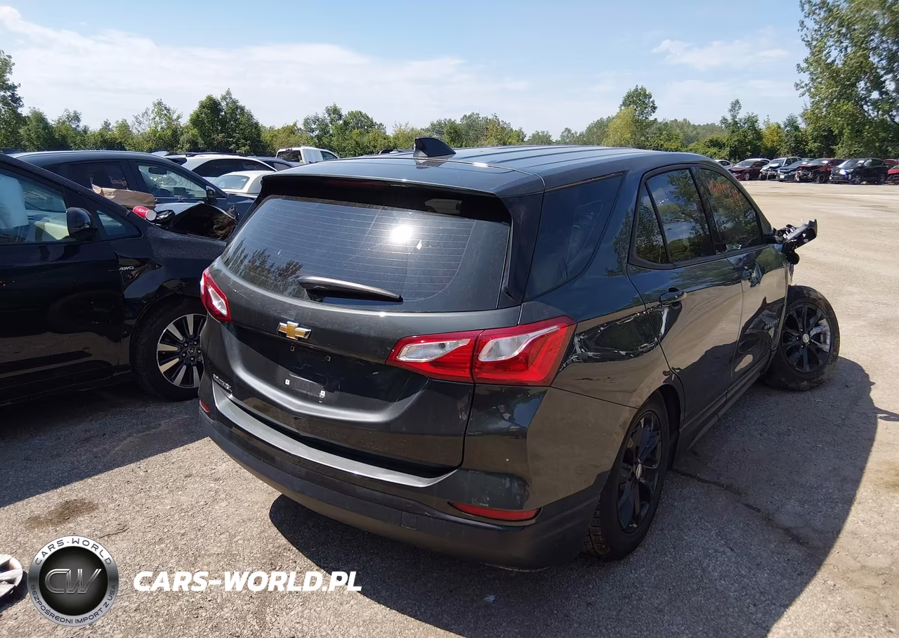2019 Chevrolet Equinox Ls VIN:3GNAXHEV5KS668611 - 4