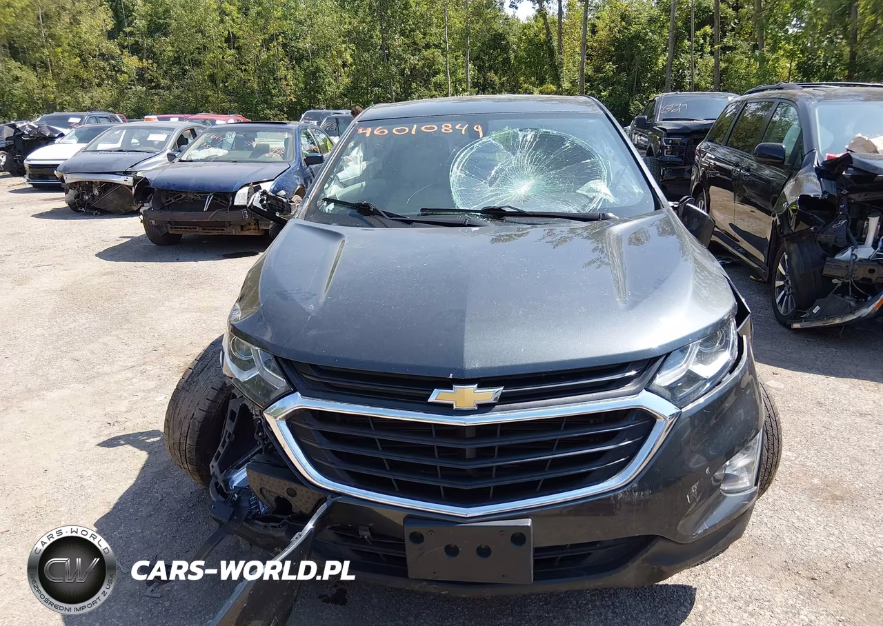 2019 Chevrolet Equinox Ls VIN:3GNAXHEV5KS668611 - 6