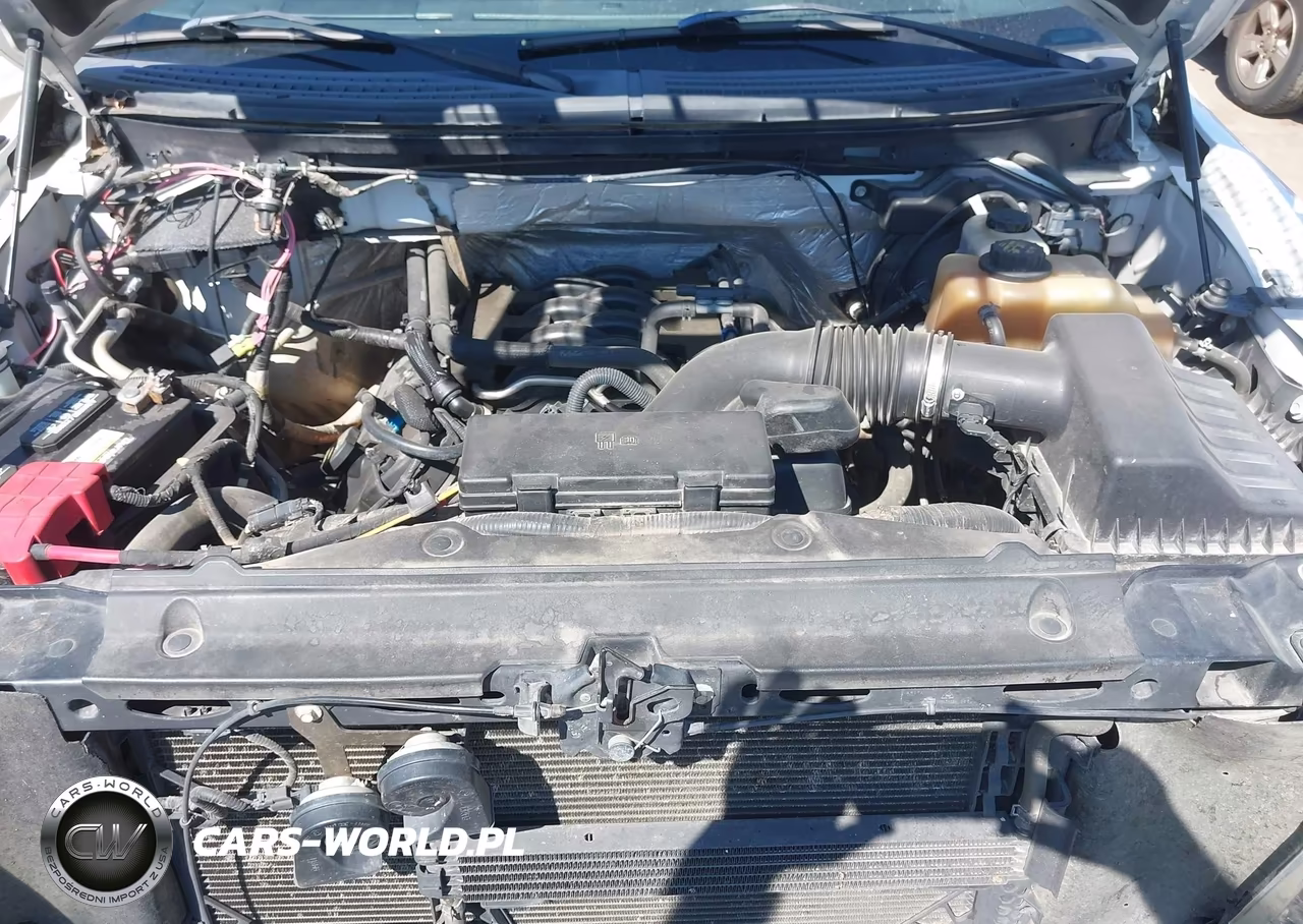 2011 Ford F-150 Xl VIN:1FTFW1EF3BFB55332 - 10