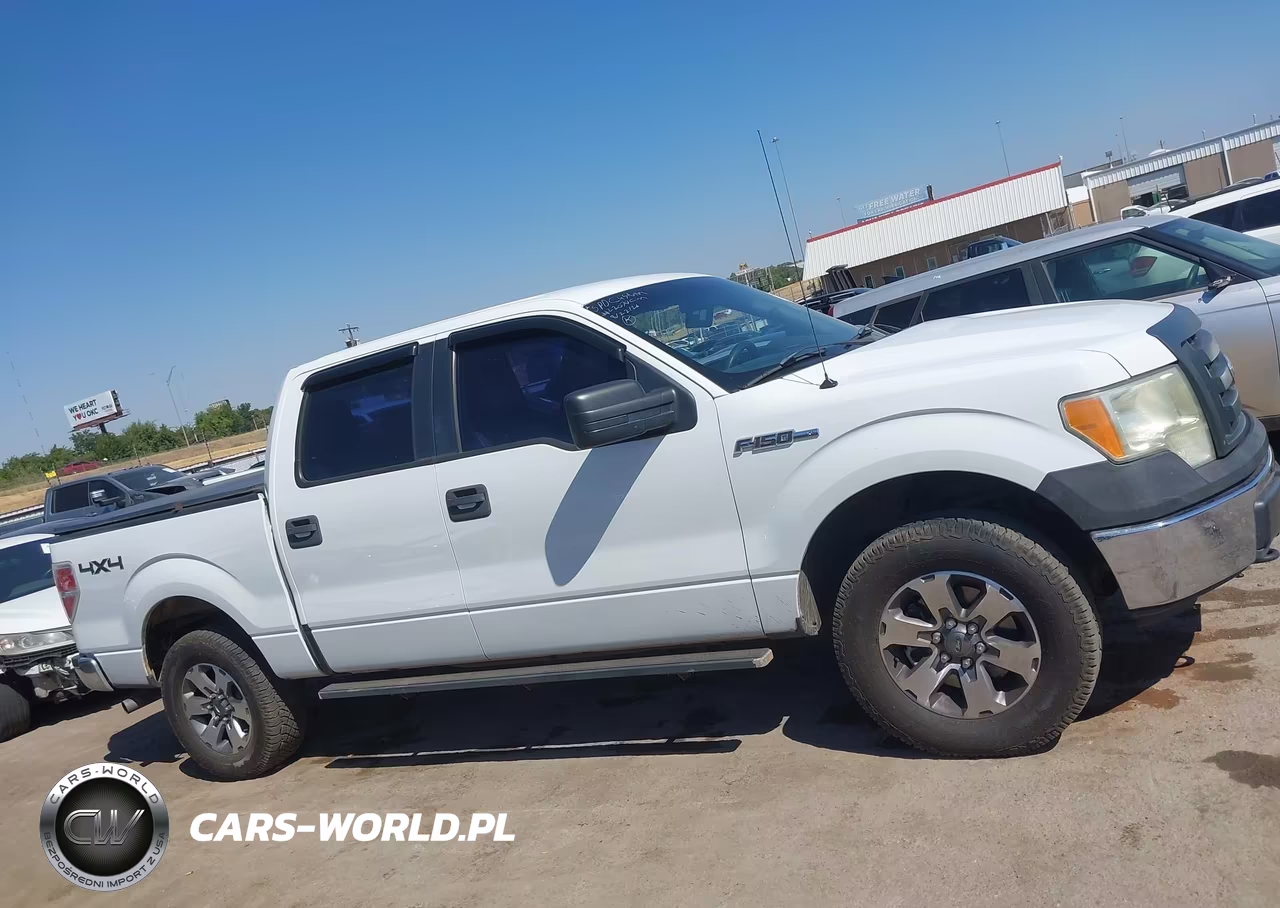 2011 Ford F-150 Xl VIN:1FTFW1EF3BFB55332 - 13
