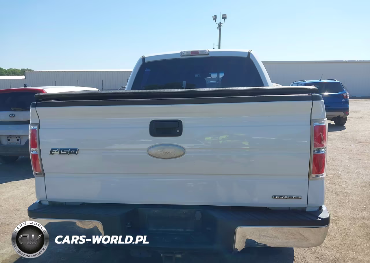 2011 Ford F-150 Xl VIN:1FTFW1EF3BFB55332 - 16