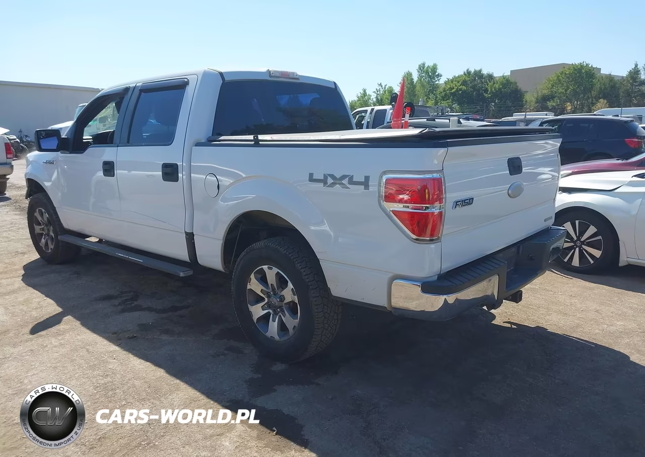 2011 Ford F-150 Xl VIN:1FTFW1EF3BFB55332 - 3