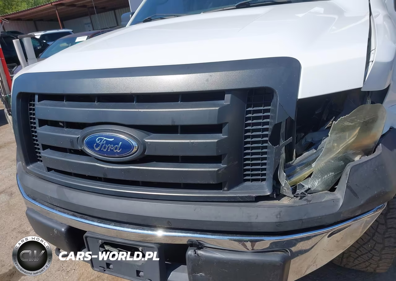 2011 Ford F-150 Xl VIN:1FTFW1EF3BFB55332 - 6
