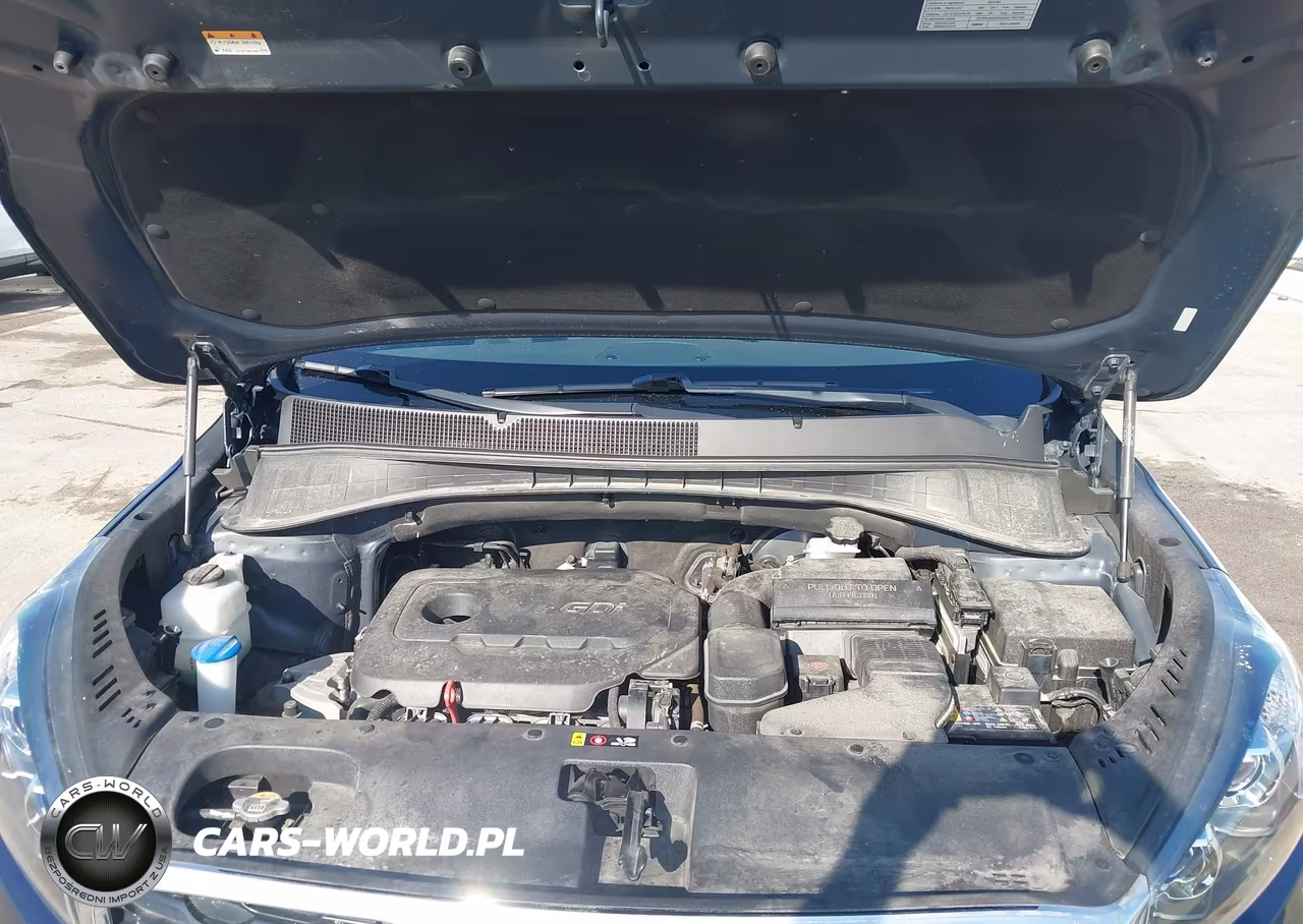2019 Kia Sorento 2.4L Lx VIN:5XYPG4A38KG469537 - 10