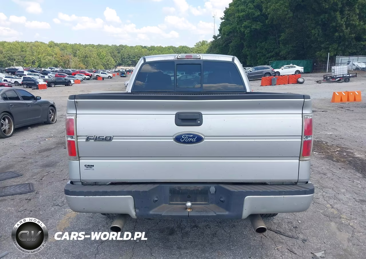 2010 Ford F-150 Stx-Xl VIN:1FTEX1CW2AFB24678 - 16