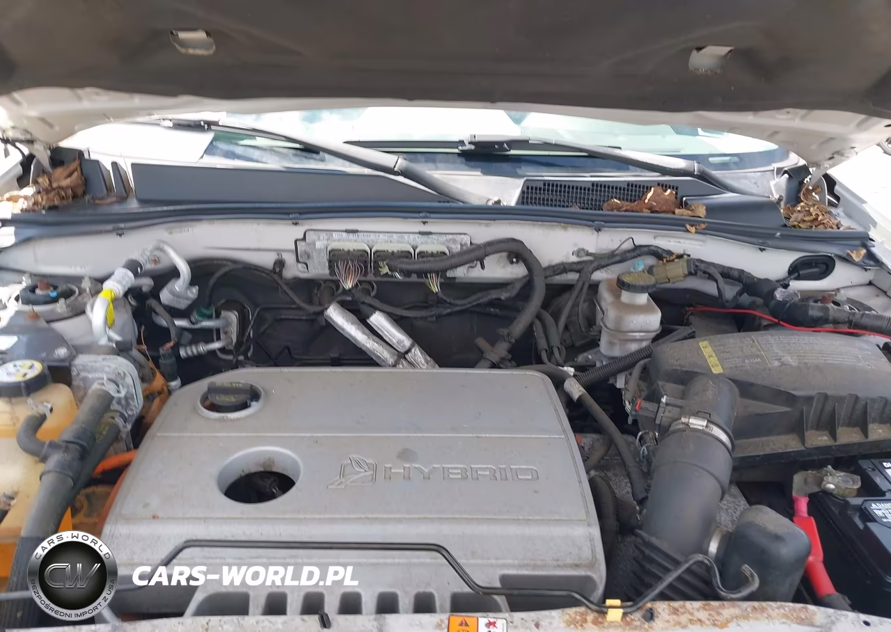2010 Ford Escape Hybrid Limited VIN:1FMCU4K3XAKB79648 - 10