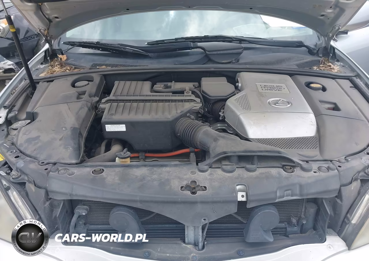 2008 Lexus Rx 400H VIN:JTJGW31U582009029 - 10