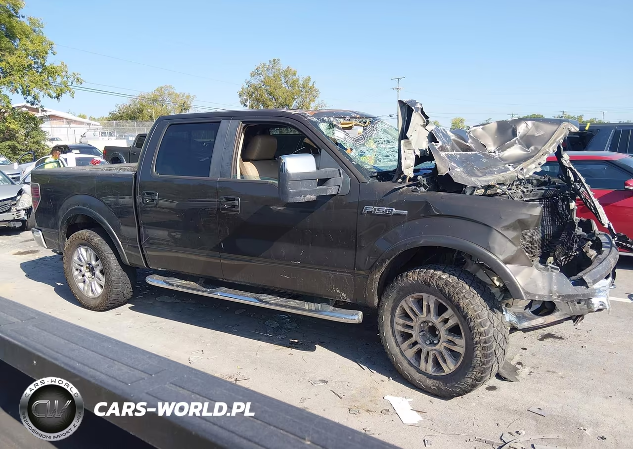 2009 Ford F-150 Fx4-King Ranch-Lariat-Platinum-Xl-Xlt VIN:1FTPW14V79KA68743 - 14