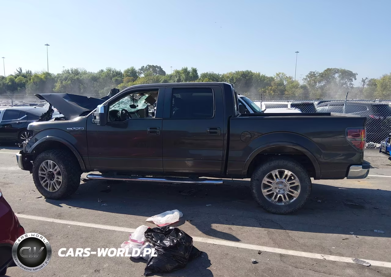 2009 Ford F-150 Fx4-King Ranch-Lariat-Platinum-Xl-Xlt VIN:1FTPW14V79KA68743 - 15