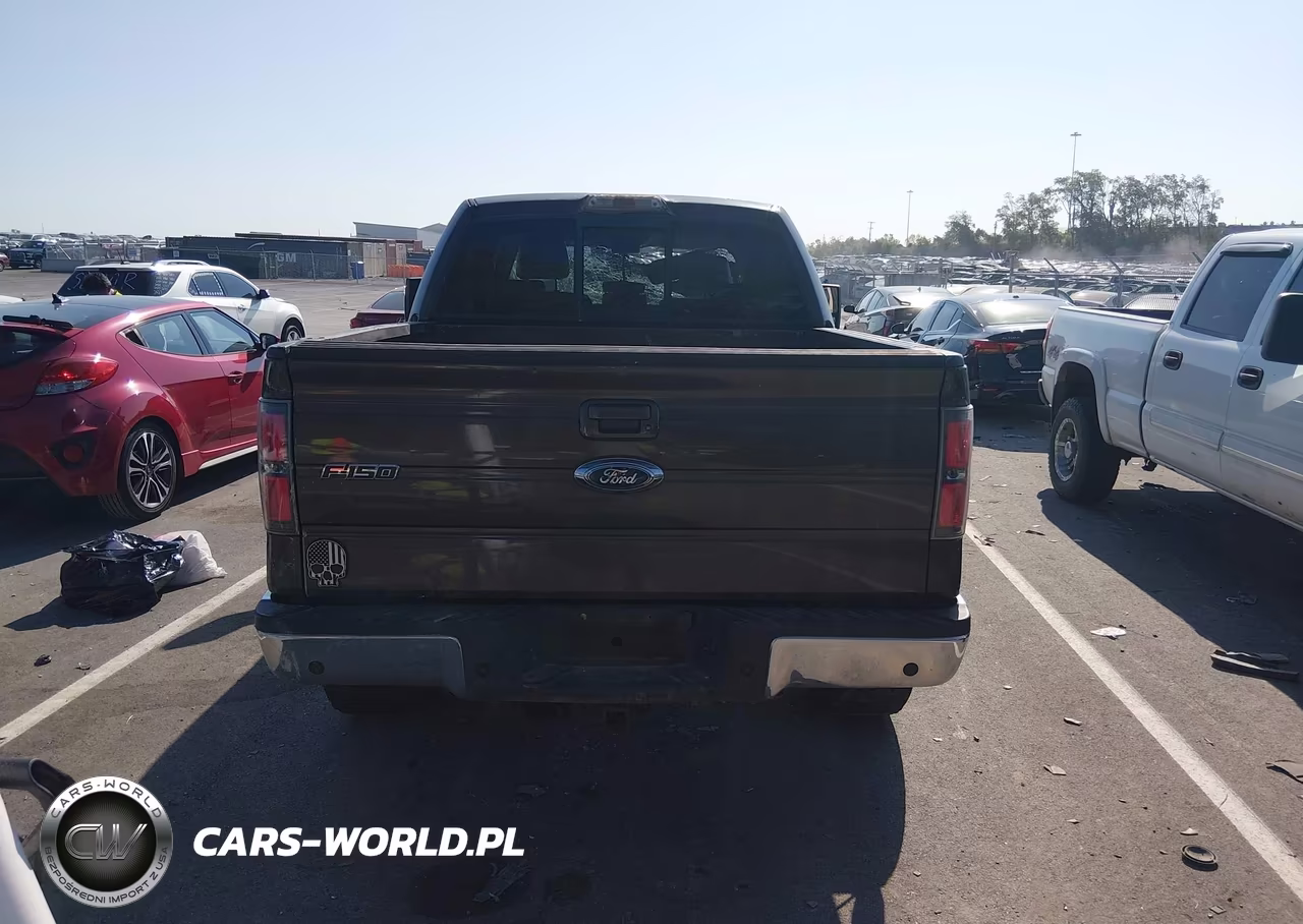 2009 Ford F-150 Fx4-King Ranch-Lariat-Platinum-Xl-Xlt VIN:1FTPW14V79KA68743 - 17