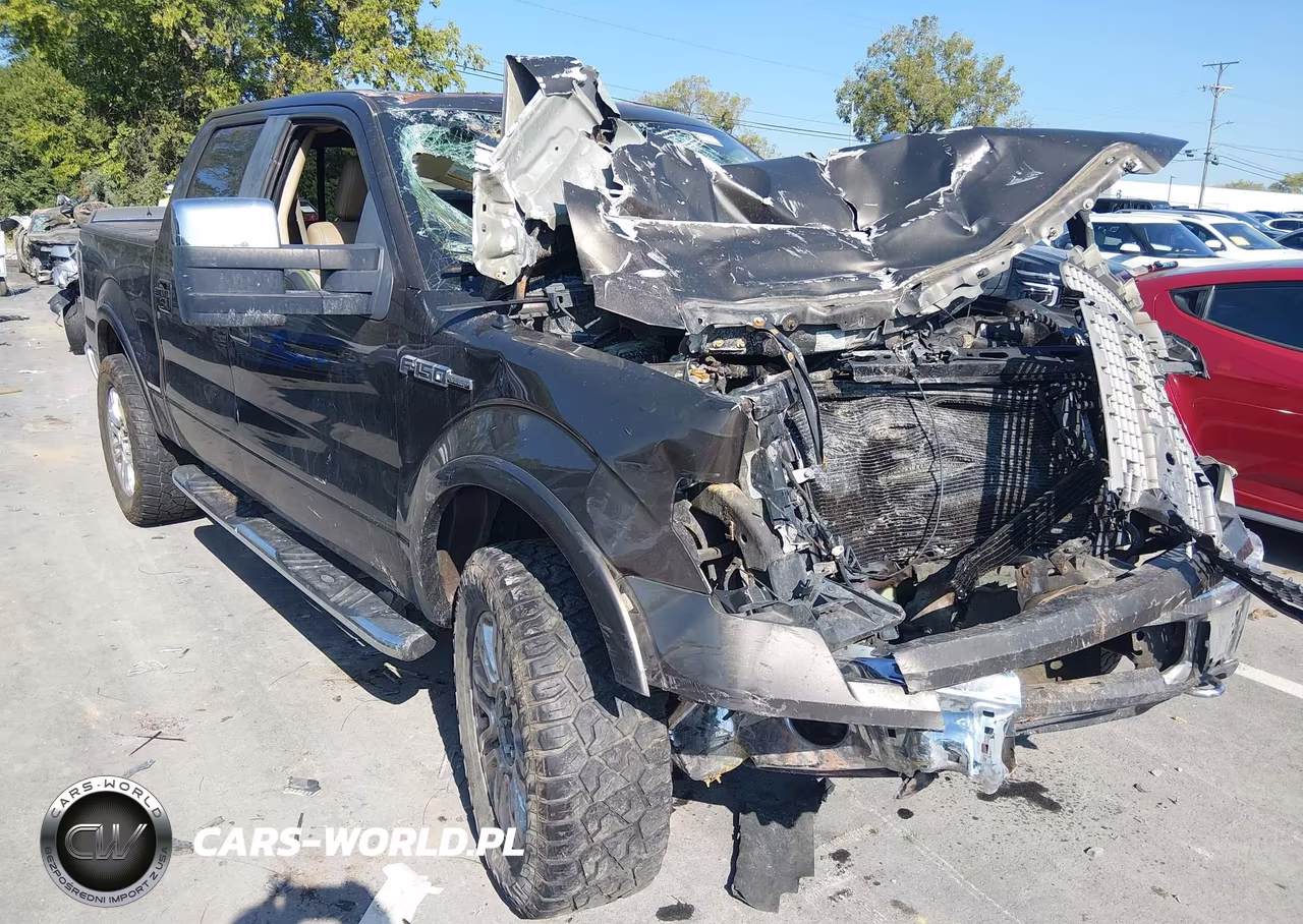 2009 Ford F-150 Fx4-King Ranch-Lariat-Platinum-Xl-Xlt VIN:1FTPW14V79KA68743 - 19