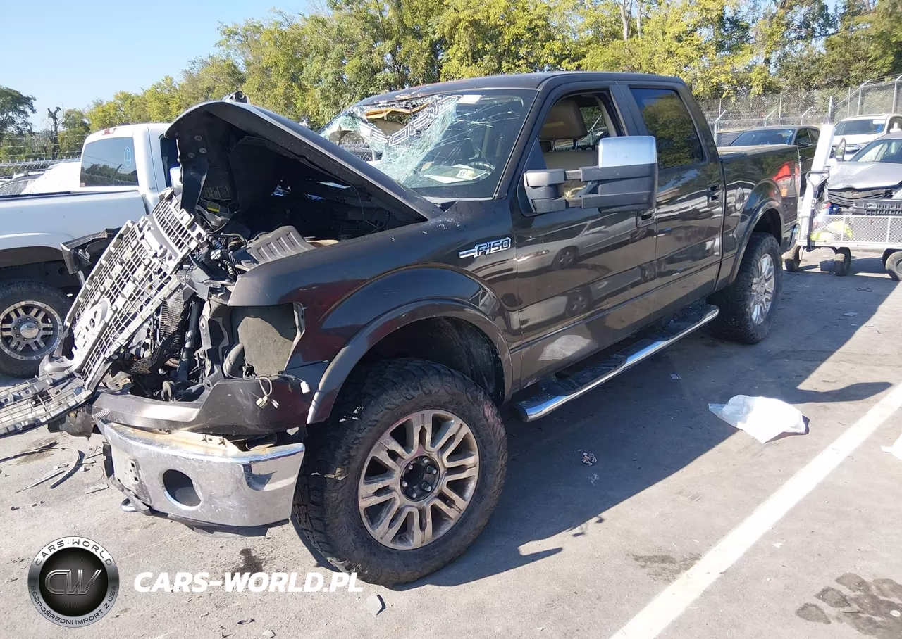 2009 Ford F-150 Fx4-King Ranch-Lariat-Platinum-Xl-Xlt VIN:1FTPW14V79KA68743 - 2