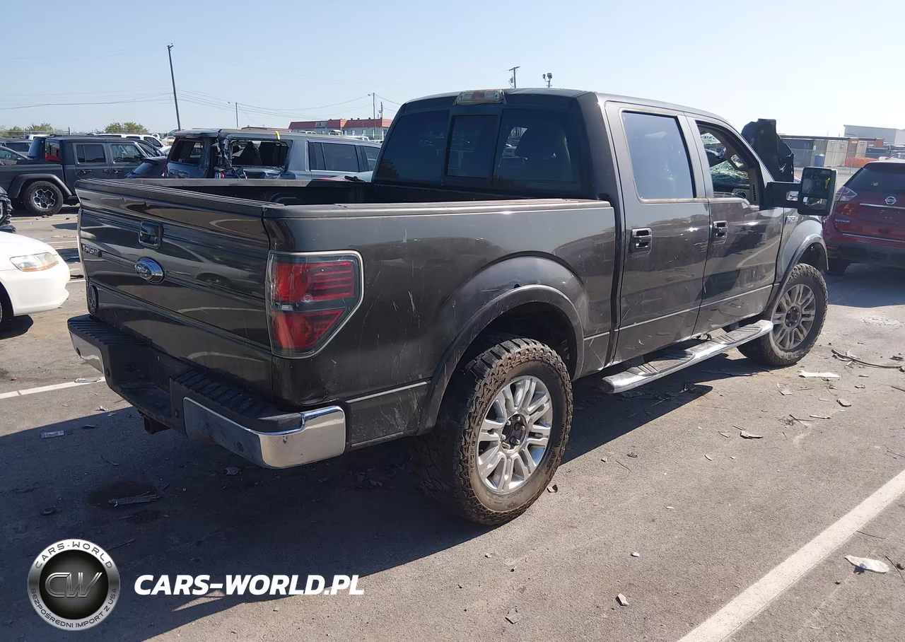 2009 Ford F-150 Fx4-King Ranch-Lariat-Platinum-Xl-Xlt VIN:1FTPW14V79KA68743 - 4