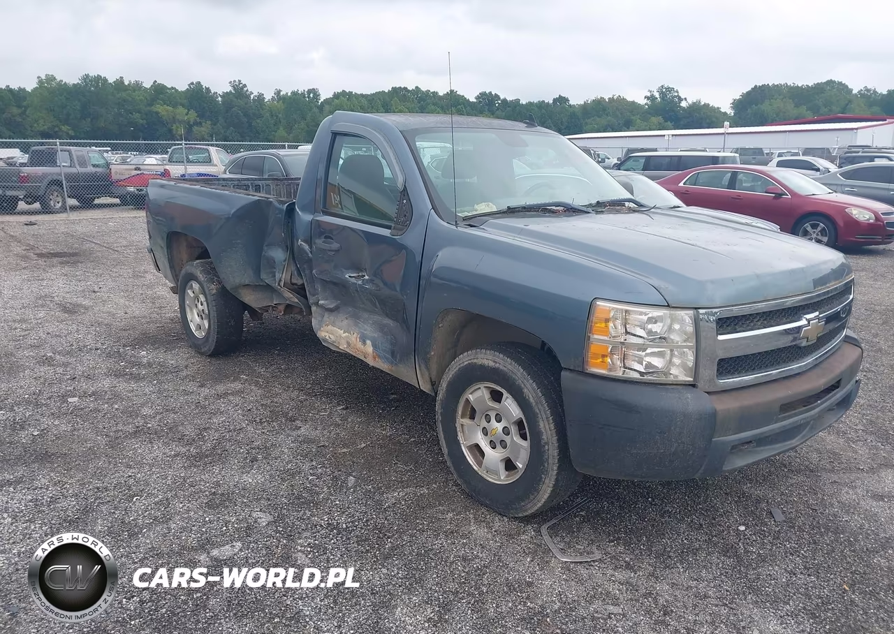 2009 Chevrolet Silverado 1500 Work Truck
