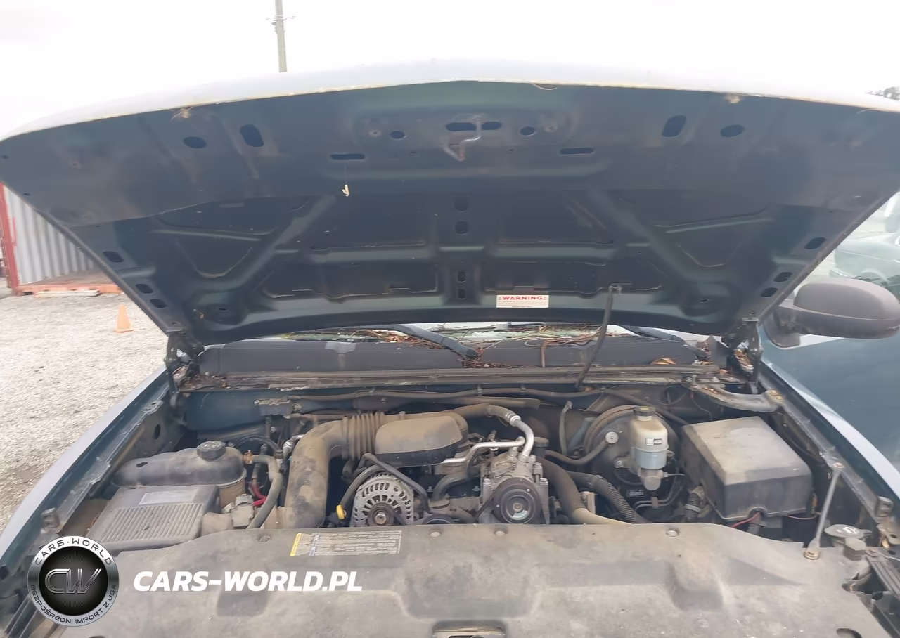 2009 Chevrolet Silverado 1500 Work Truck VIN:1GCEC14X19Z230665 - 10