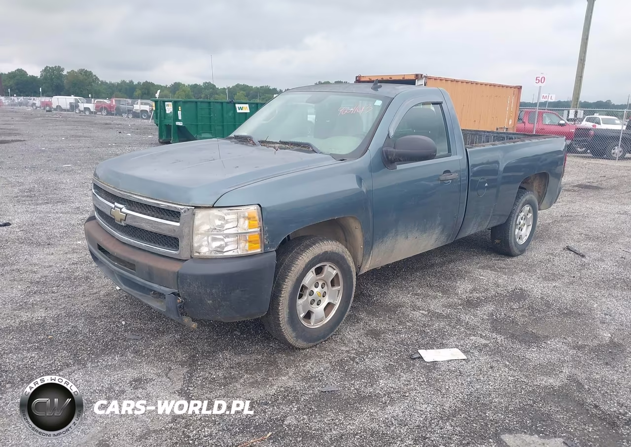2009 Chevrolet Silverado 1500 Work Truck VIN:1GCEC14X19Z230665 - 2