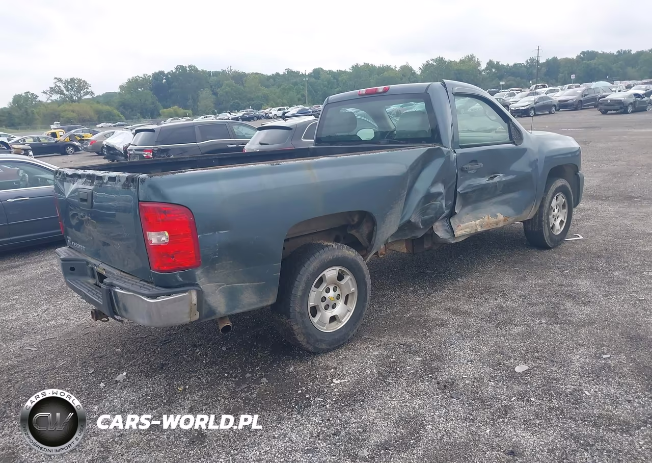 2009 Chevrolet Silverado 1500 Work Truck VIN:1GCEC14X19Z230665 - 4