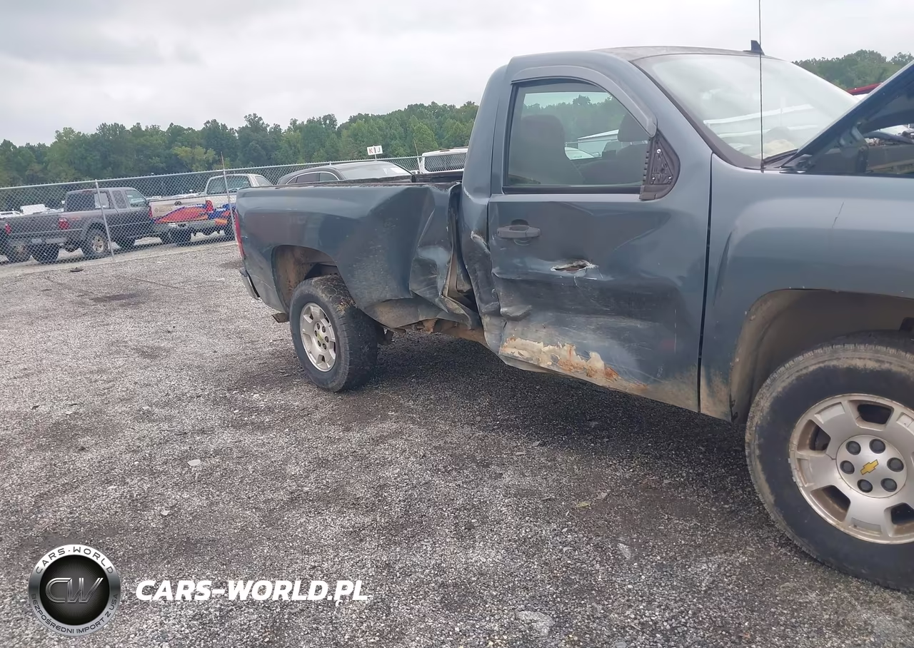 2009 Chevrolet Silverado 1500 Work Truck VIN:1GCEC14X19Z230665 - 6