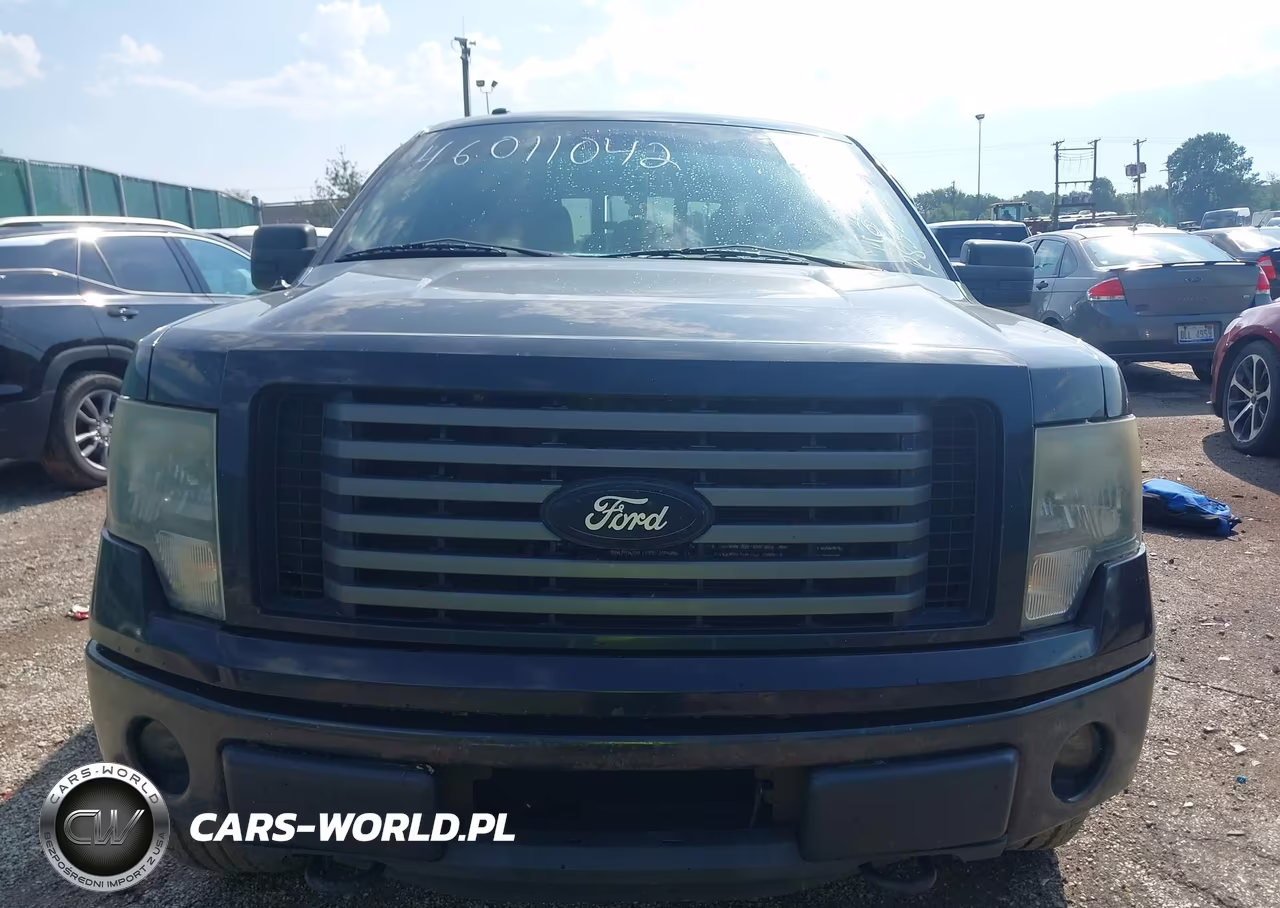 2011 Ford F-150 Fx4 VIN:1FTFW1EF8BKD14773 - 12