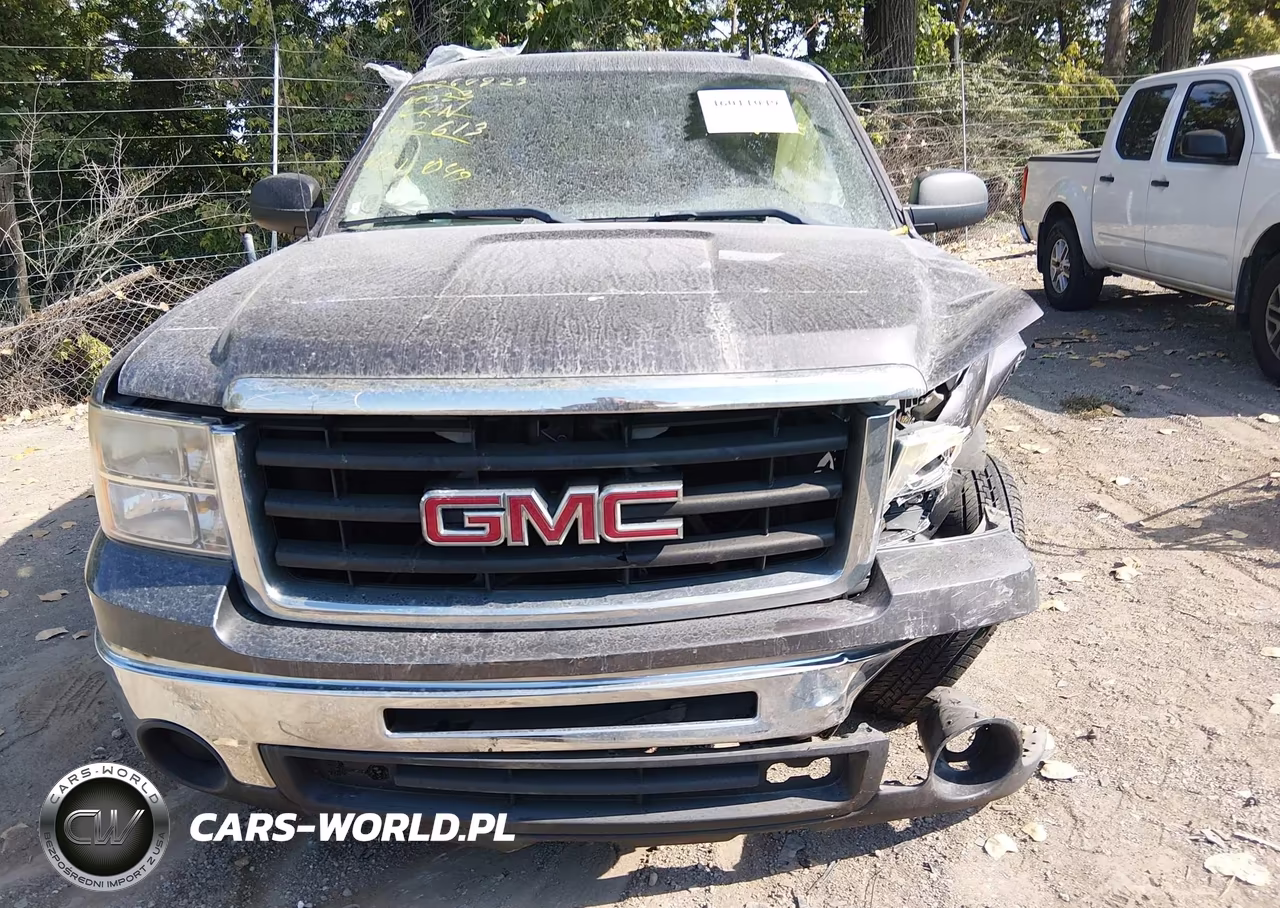 2010 GMC Sierra 1500 Sl VIN:3GTRCUEA9AG102613 - 12