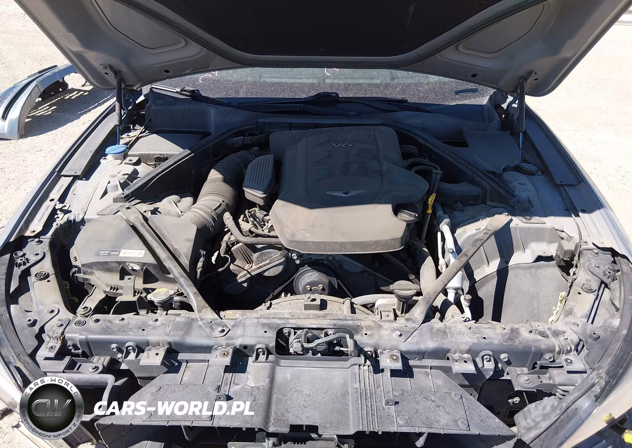 2017 Genesis G80 3.8 VIN:KMHGN4JE7HU185696 - 10