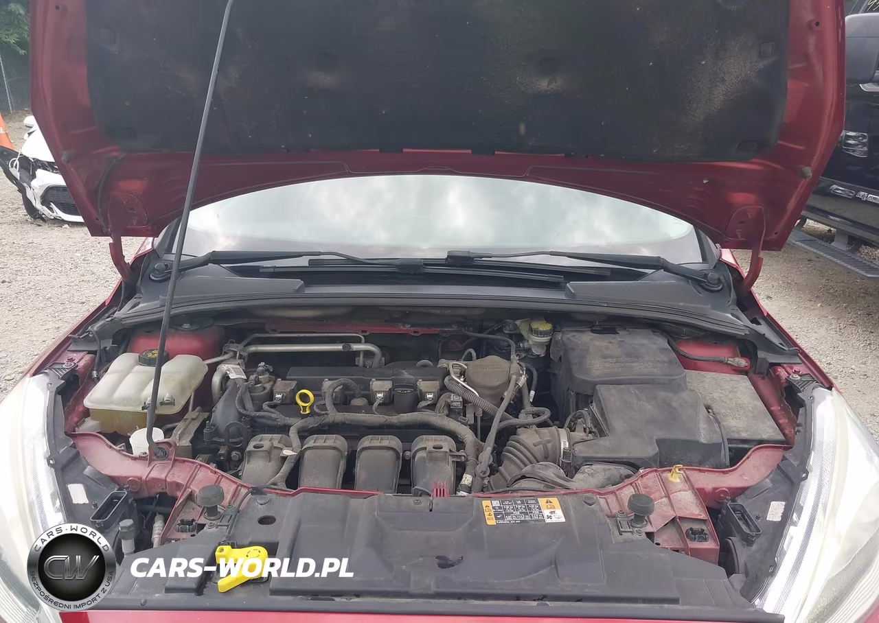 2016 Ford Focus Titanium VIN:1FADP3N29GL257617 - 10