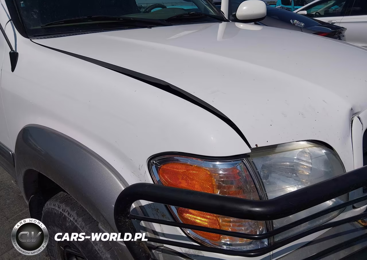 2002 Toyota Sequoia Sr5 V8 VIN:5TDZT34A12S076412 - 15