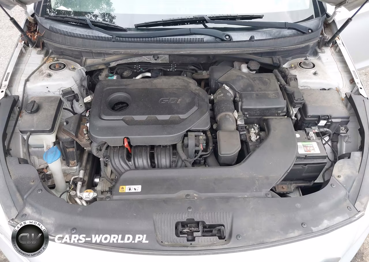 2016 Hyundai Sonata Se VIN:5NPE24AF9GH270769 - 10