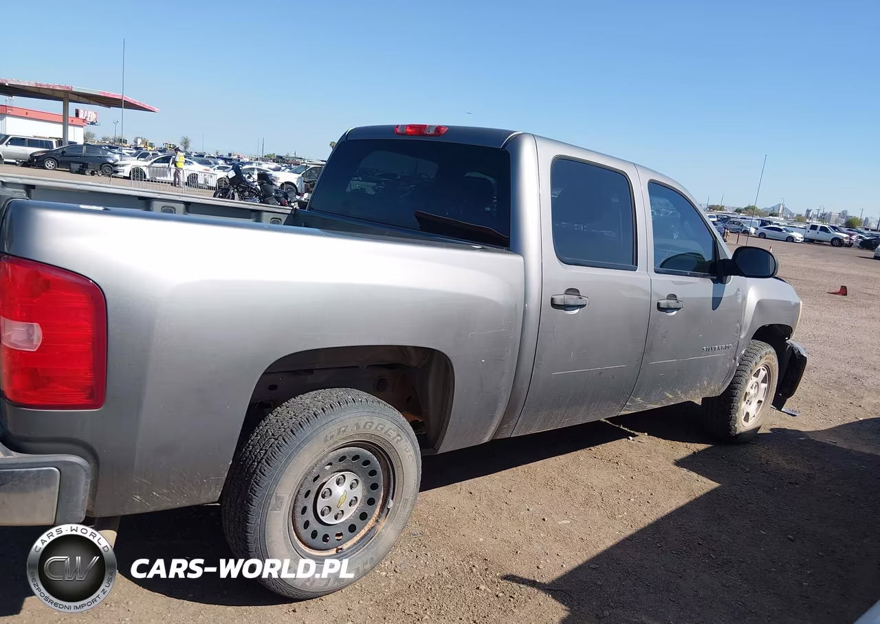 2013 Chevrolet Silverado 1500 Lt VIN:3GCPCSE05DG233898 - 12