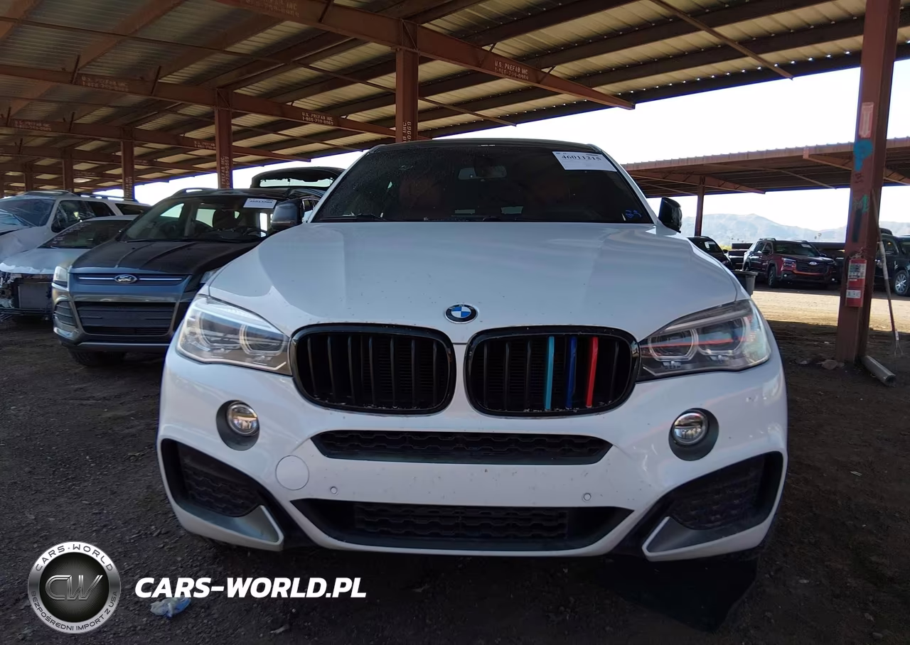 2016 BMW X6 Sdrive35I VIN:5UXKU0C55G0F93032 - 13