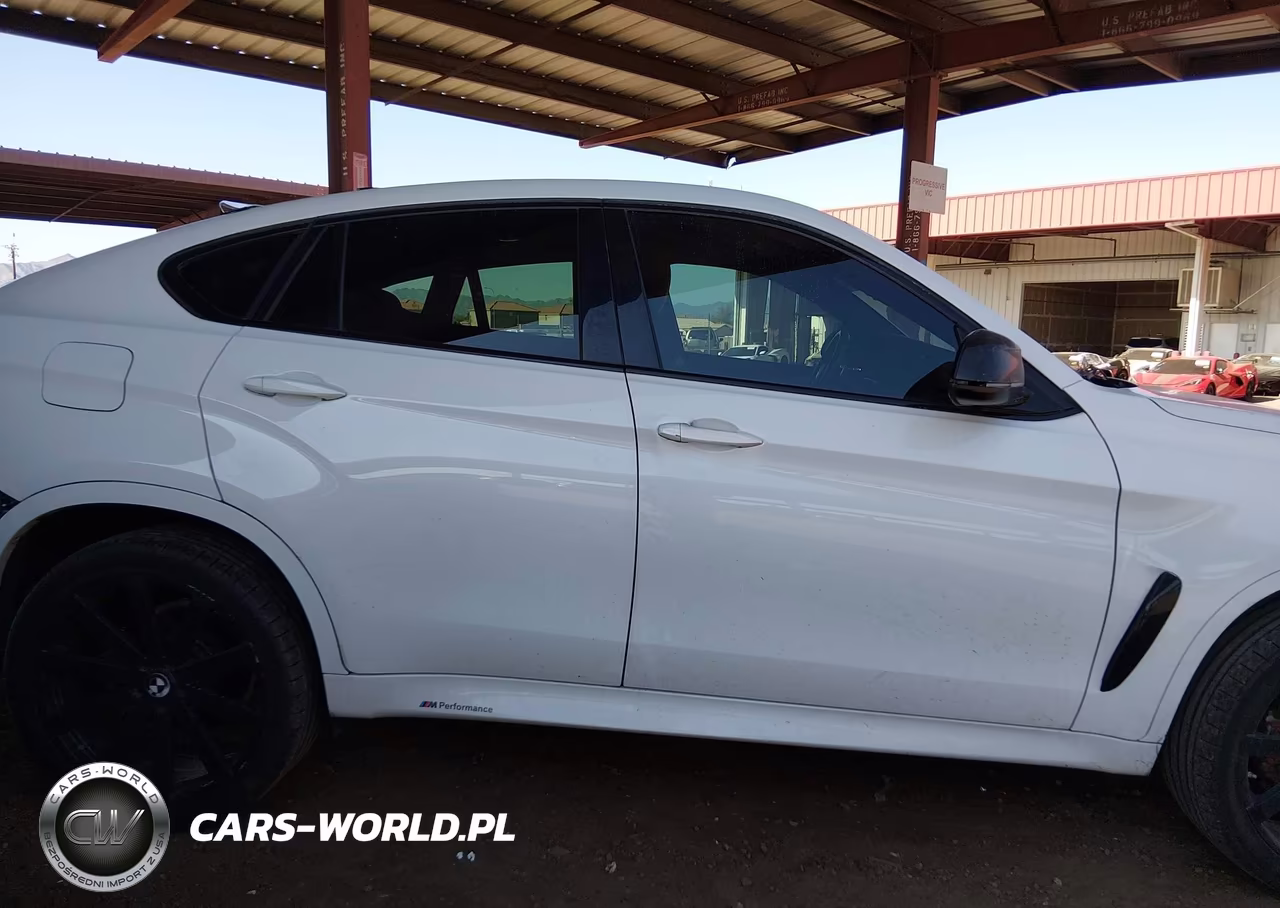 2016 BMW X6 Sdrive35I VIN:5UXKU0C55G0F93032 - 14