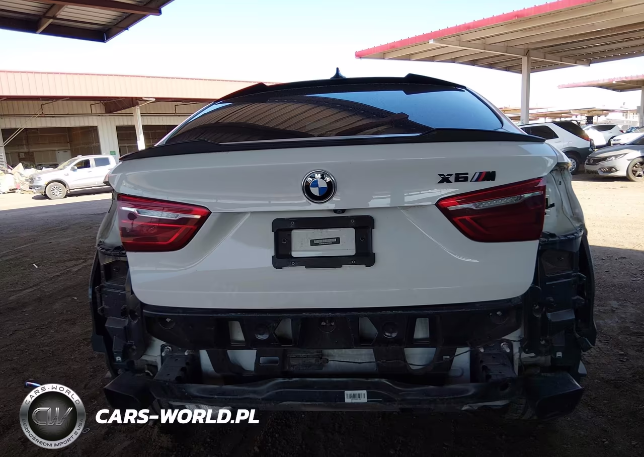 2016 BMW X6 Sdrive35I VIN:5UXKU0C55G0F93032 - 17