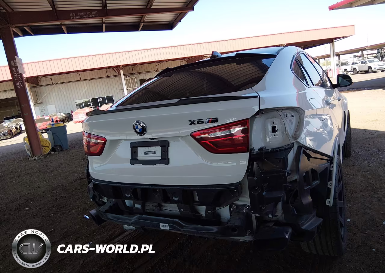 2016 BMW X6 Sdrive35I VIN:5UXKU0C55G0F93032 - 18