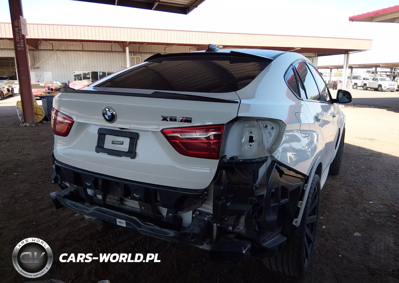 2016 BMW X6 Sdrive35I VIN:5UXKU0C55G0F93032 - 4