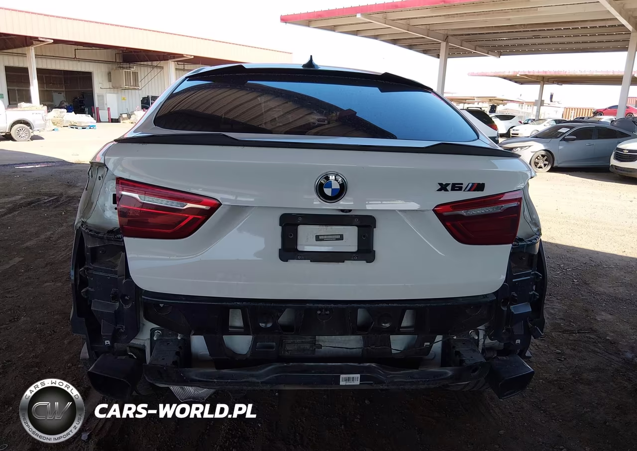 2016 BMW X6 Sdrive35I VIN:5UXKU0C55G0F93032 - 6