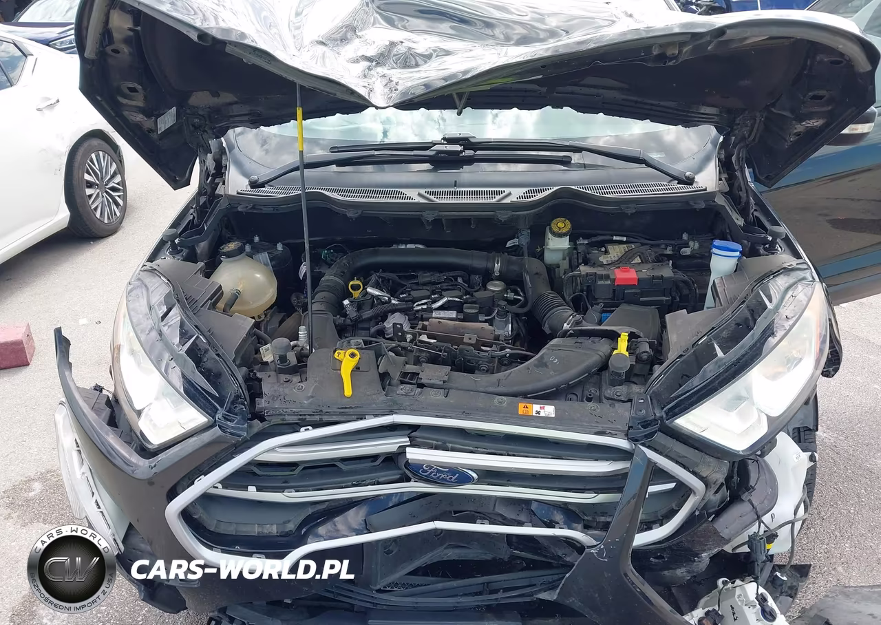 2019 Ford Ecosport Se VIN:MAJ3S2GE7KC286070 - 10