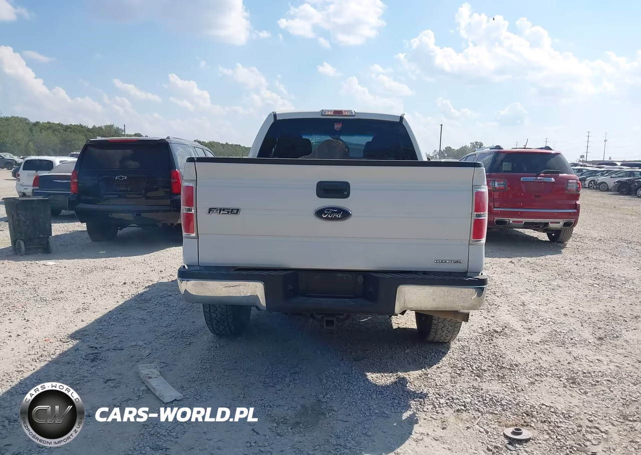 2012 Ford F-150 Xl VIN:1FTFX1EF1CKE40519 - 14